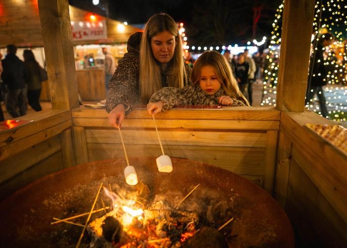 A mother and daughter toasting marshmallows over the fire pit